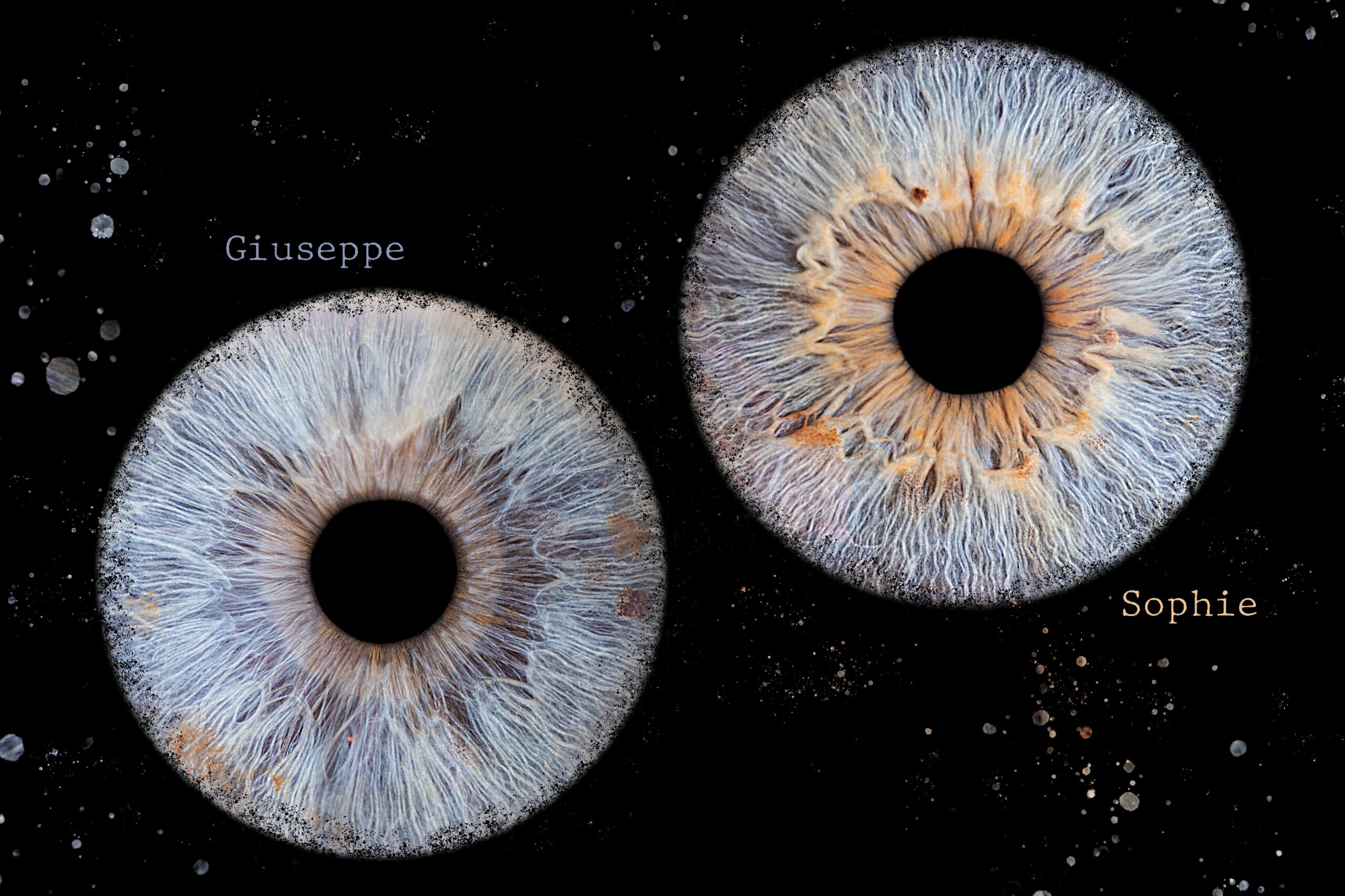 Mam'zelle Ju Photographie - Photographie d'iris